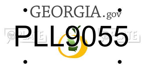 PLL9055 Georgia License Plate