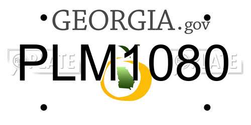 PLM1080 Georgia License Plate