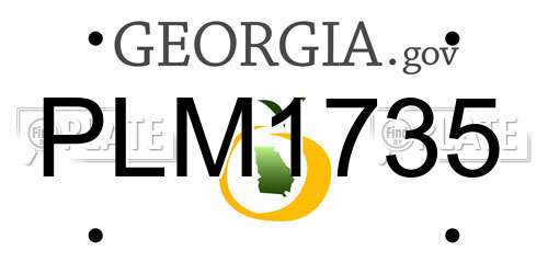 PLM1735 Georgia License Plate