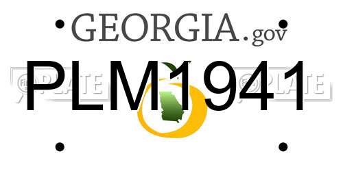 PLM1941 Georgia License Plate