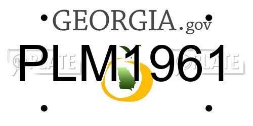 PLM1961 Georgia License Plate