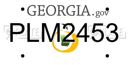 PLM2453 Georgia License Plate