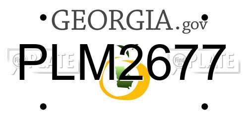 PLM2677 Georgia License Plate