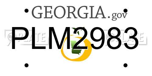 PLM2983 Georgia License Plate