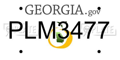 PLM3477 Georgia License Plate
