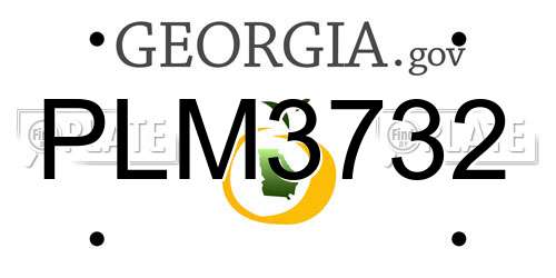 PLM3732 Georgia License Plate