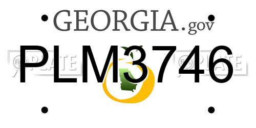 PLM3746 Georgia License Plate