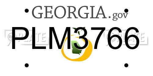 PLM3766 Georgia License Plate