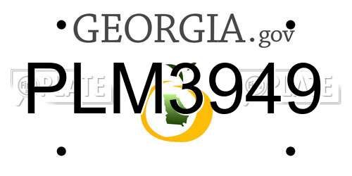 PLM3949 Georgia License Plate