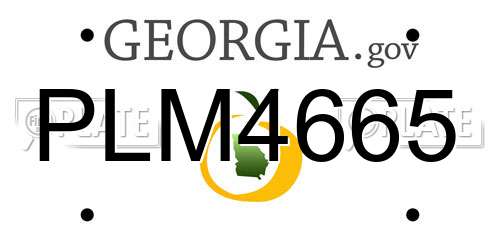 PLM4665 Georgia License Plate