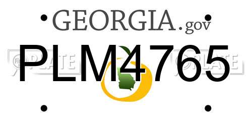 PLM4765 Georgia License Plate