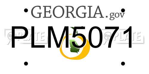 PLM5071 Georgia License Plate
