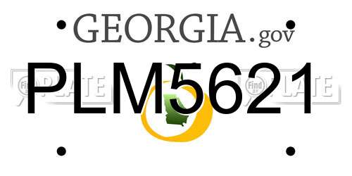 PLM5621 Georgia License Plate