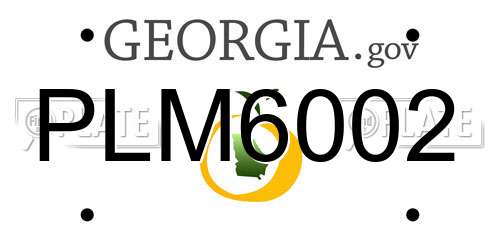 PLM6002 Georgia License Plate
