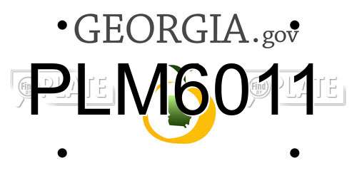 PLM6011 Georgia License Plate