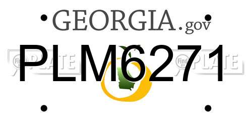 PLM6271 Georgia License Plate
