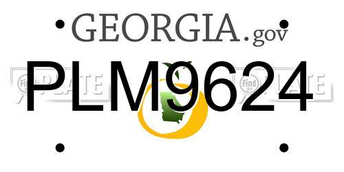 PLM9624 Georgia License Plate