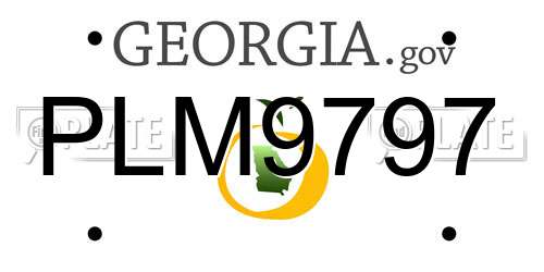 PLM9797 Georgia License Plate
