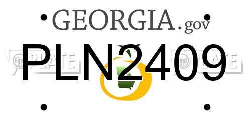 PLN2409 Georgia License Plate