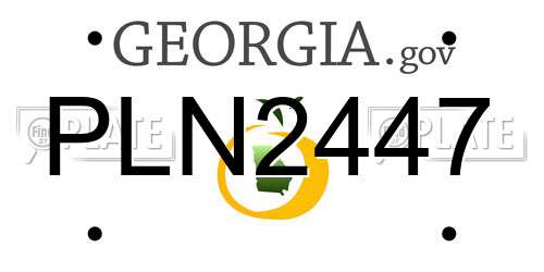 PLN2447 Georgia License Plate