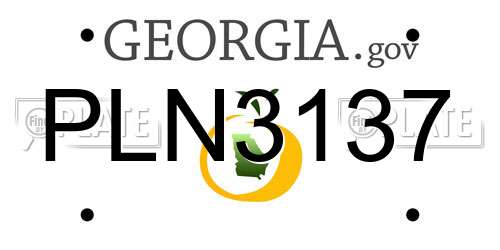 PLN3137 Georgia License Plate