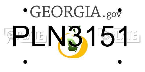 PLN3151 Georgia License Plate