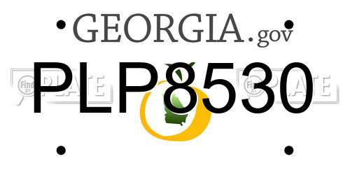 PLP8530 Georgia License Plate