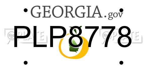 PLP8778 Georgia License Plate