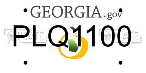 PLQ1100 Georgia License Plate