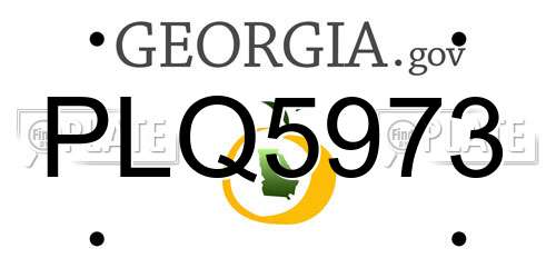 PLQ5973 Georgia License Plate