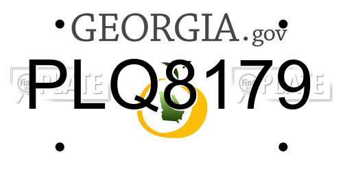 PLQ8179 Georgia License Plate