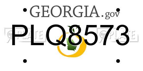 PLQ8573 Georgia License Plate