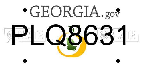 PLQ8631 Georgia License Plate