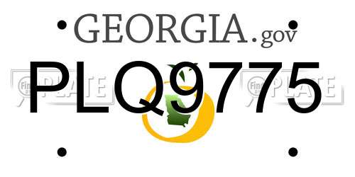 PLQ9775 Georgia License Plate