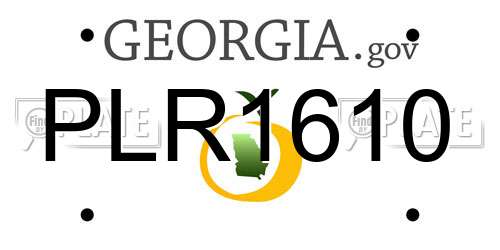 PLR1610 Georgia License Plate