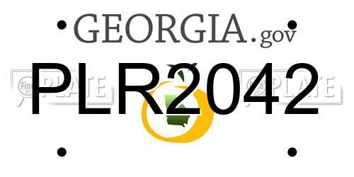 PLR2042 Georgia License Plate