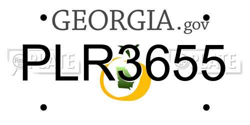 PLR3655 Georgia License Plate