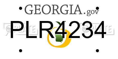 PLR4234 Georgia License Plate