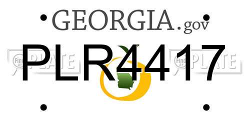 PLR4417 Georgia License Plate