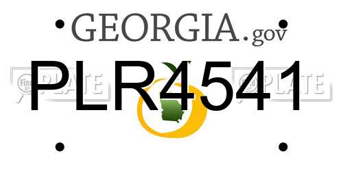 PLR4541 Georgia License Plate