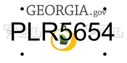 PLR5654 Georgia License Plate