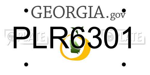 PLR6301 Georgia License Plate
