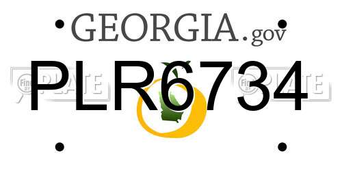 PLR6734 Georgia License Plate