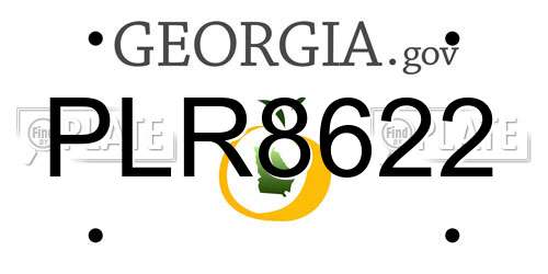 PLR8622 Georgia License Plate