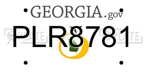 PLR8781 Georgia License Plate