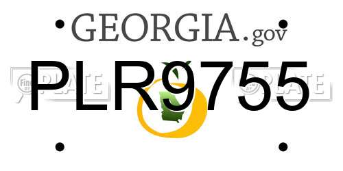 PLR9755 Georgia License Plate
