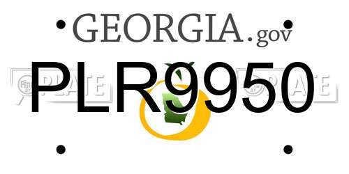 PLR9950 Georgia License Plate