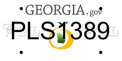 PLS1389 Georgia License Plate