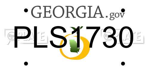 PLS1730 Georgia License Plate