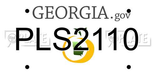 PLS2110 Georgia License Plate